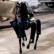 spot perro robot policia