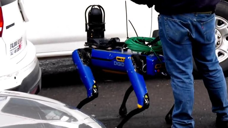 perro robot spot