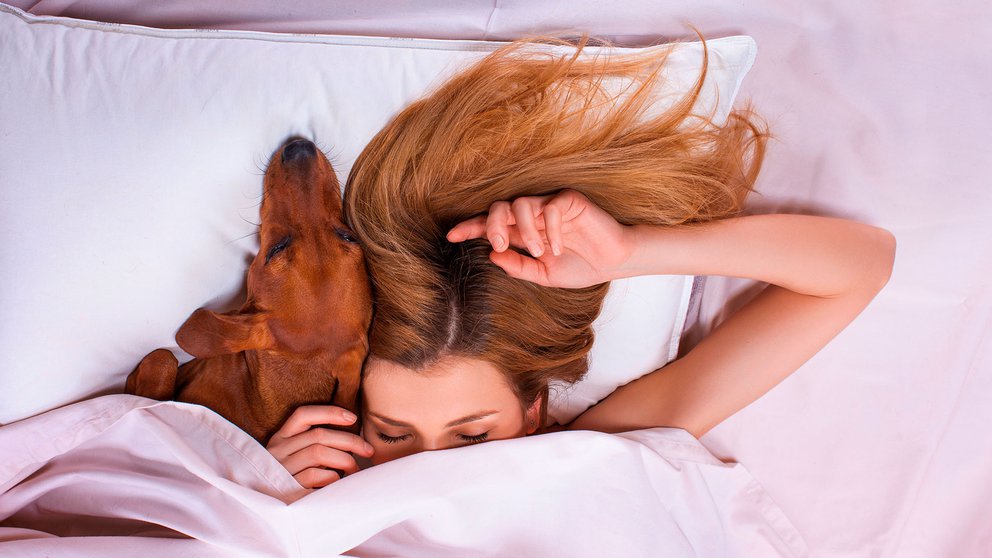 dormir con mi perro