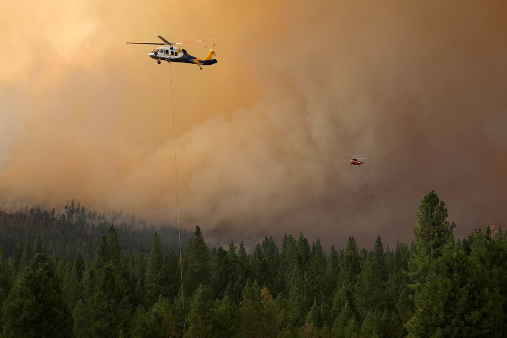 incendio forestal