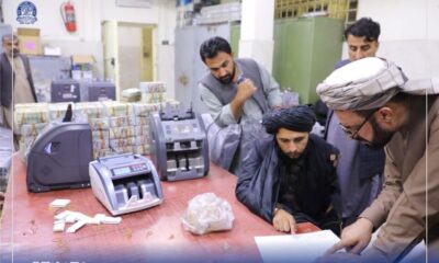 talibanes