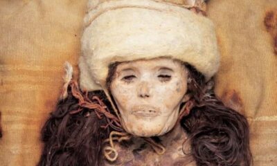 momias de tarim