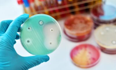 bacterias antibióticos