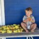 niño hamburguesas