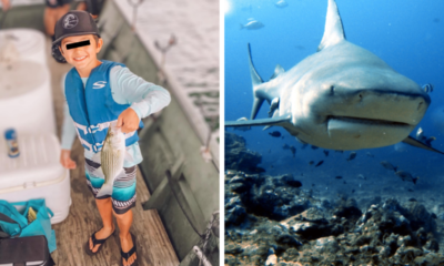 amputan pierna tiburón