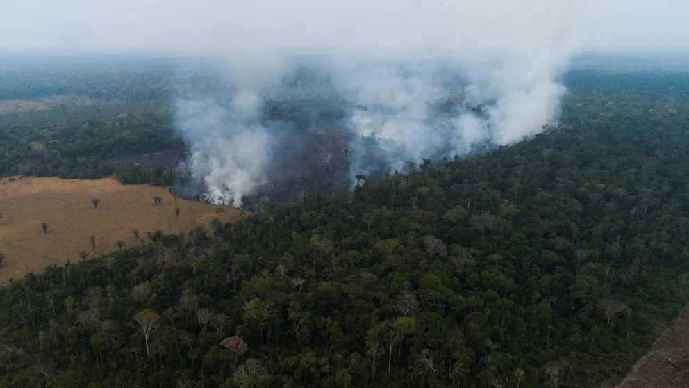 Amazonas incendios