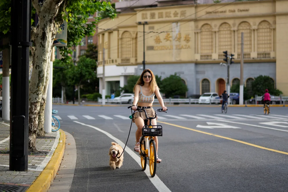 perciben mundo perros