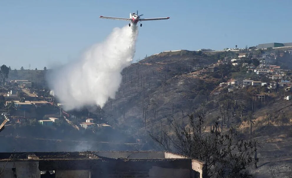 ovejas incendios forestales